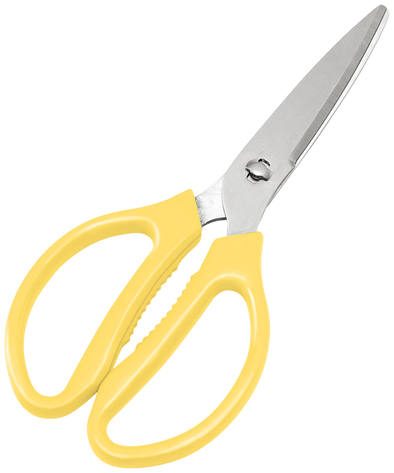 EBM Select Kitchen Stainless-Steel Scissors