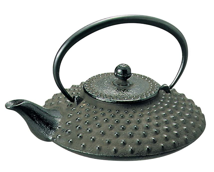Nambu Ironware Cast Iron Sake Pot Arare Pattern